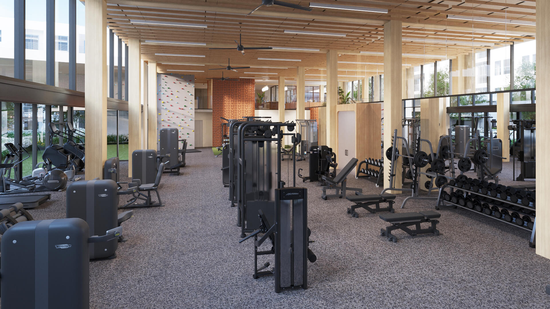 student fitness center with modern weight machines, dumbbells, and a climbing wall surrounded by floor-to-ceiling windows