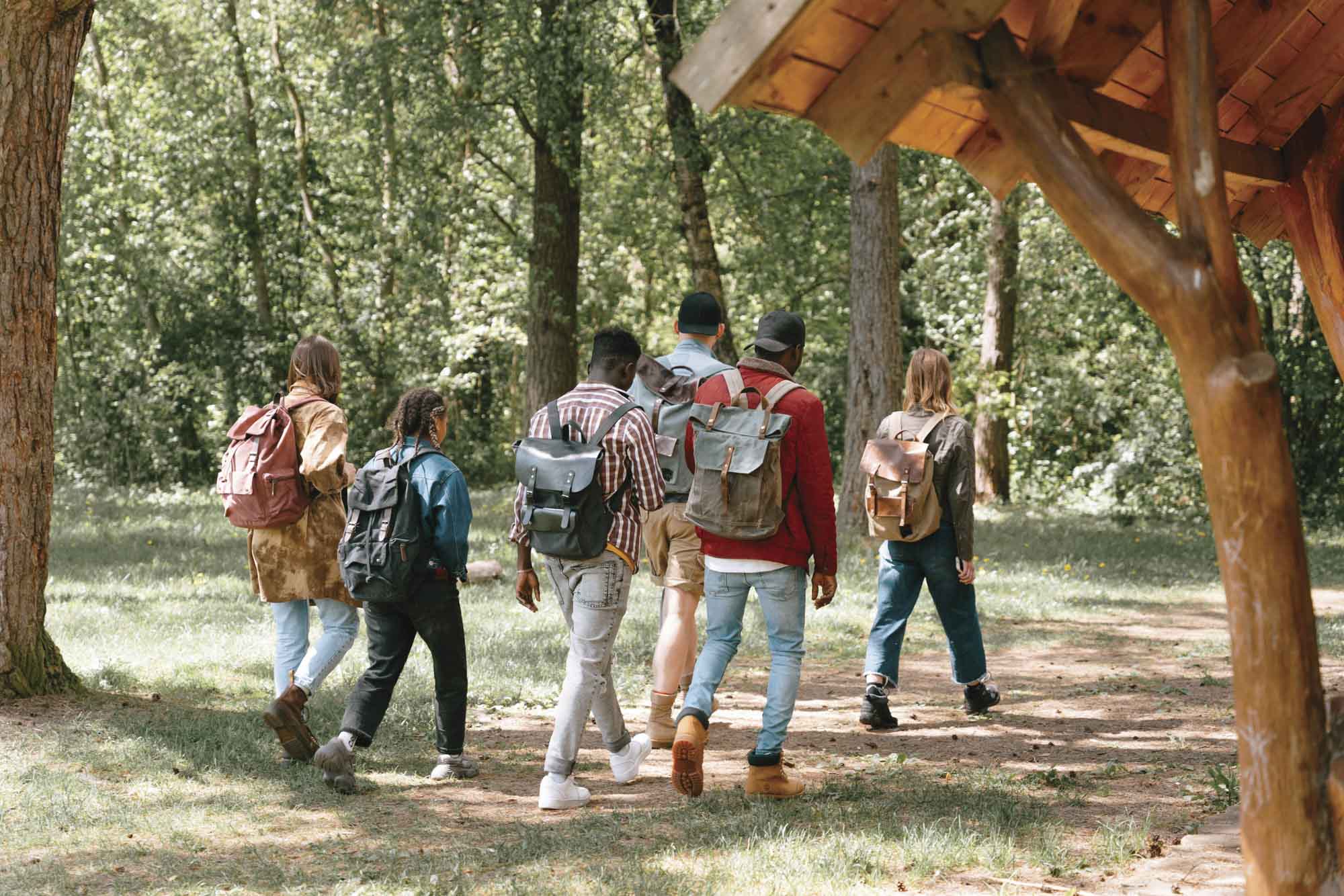 Diverse group of six friends wearing backpacks as they hike down a shaded dirt path in a lush forest